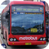 Sydney Buses Metrobus
